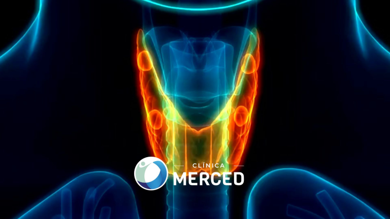 Salud | Glándula Tiroides: Importancia, Función y Enfermedades Comunes