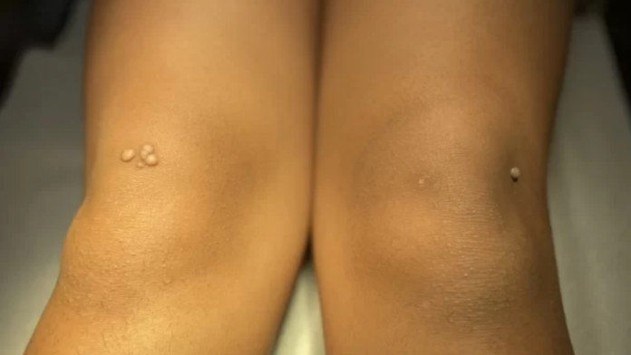 Diseño sin título-49