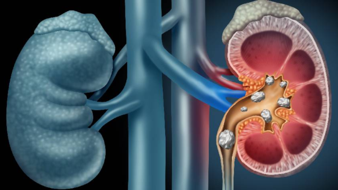 Diseño sin título-63